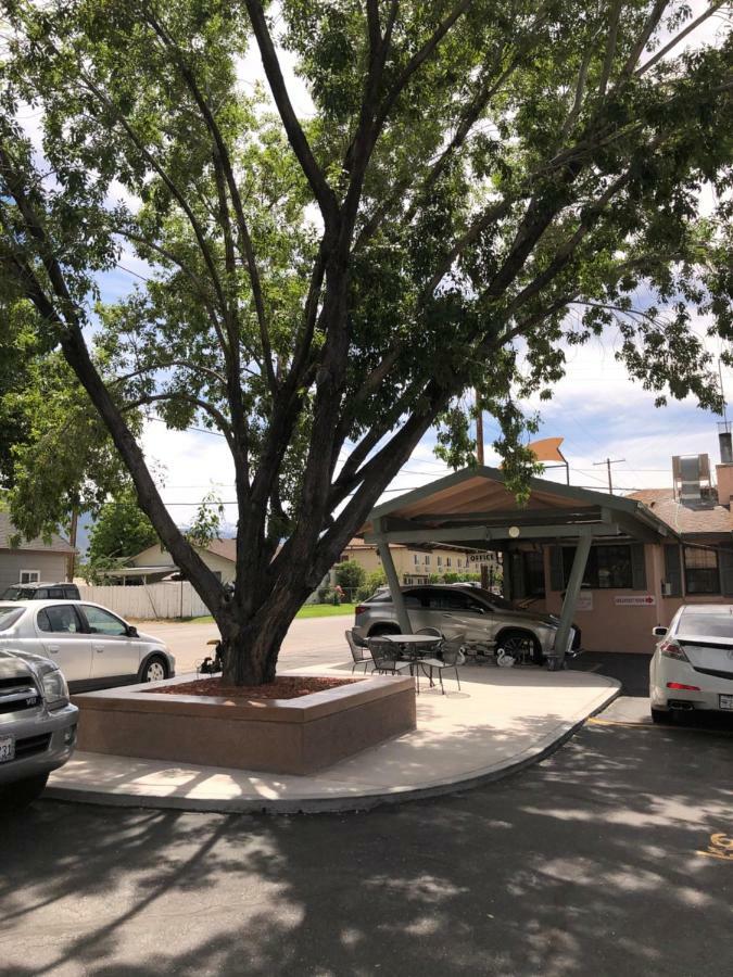 Elms Motel